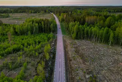 Flygbild av en väg genom skogen
