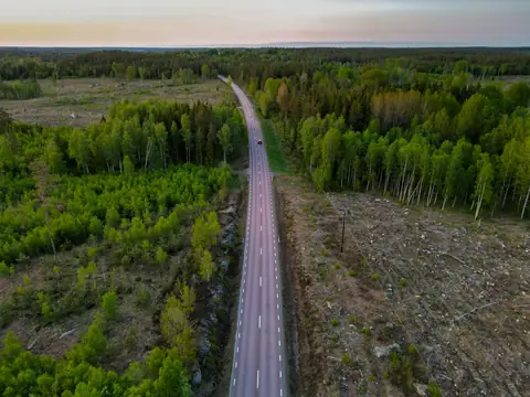 Flygbild över en väg genom skogen